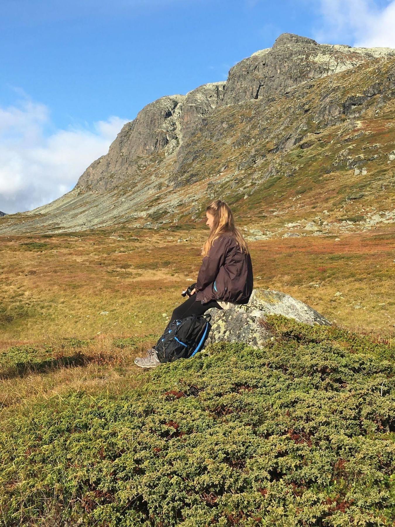 Liatoppen Fjellhotell Al Luaran gambar