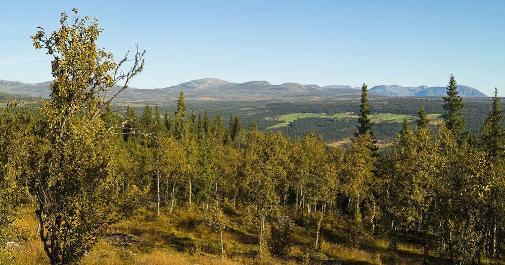 Liatoppen Fjellhotell Al Luaran gambar